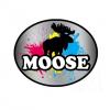 Foto de Pinturas moose
