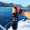 Foto de Vinos de Baja California
