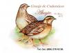 Foto de Granja De Codornices Aboyte